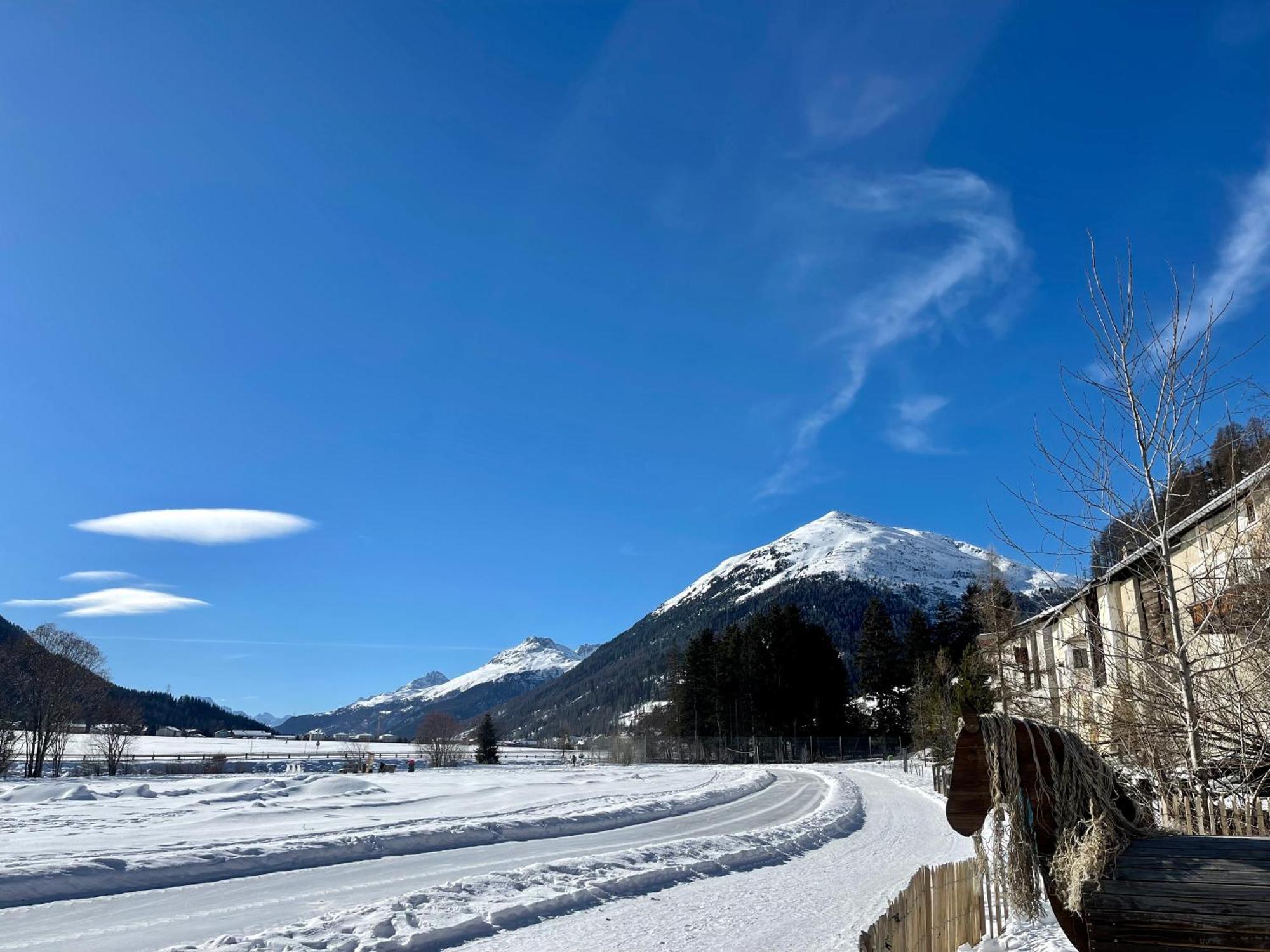 Chalet St Moritz Madulain Exteriör bild